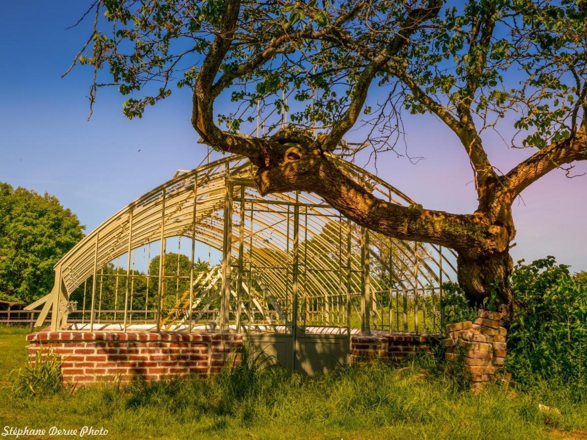 Chateau De Saint-Germain Ngoại thất bức ảnh
